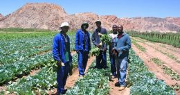 Agriculture